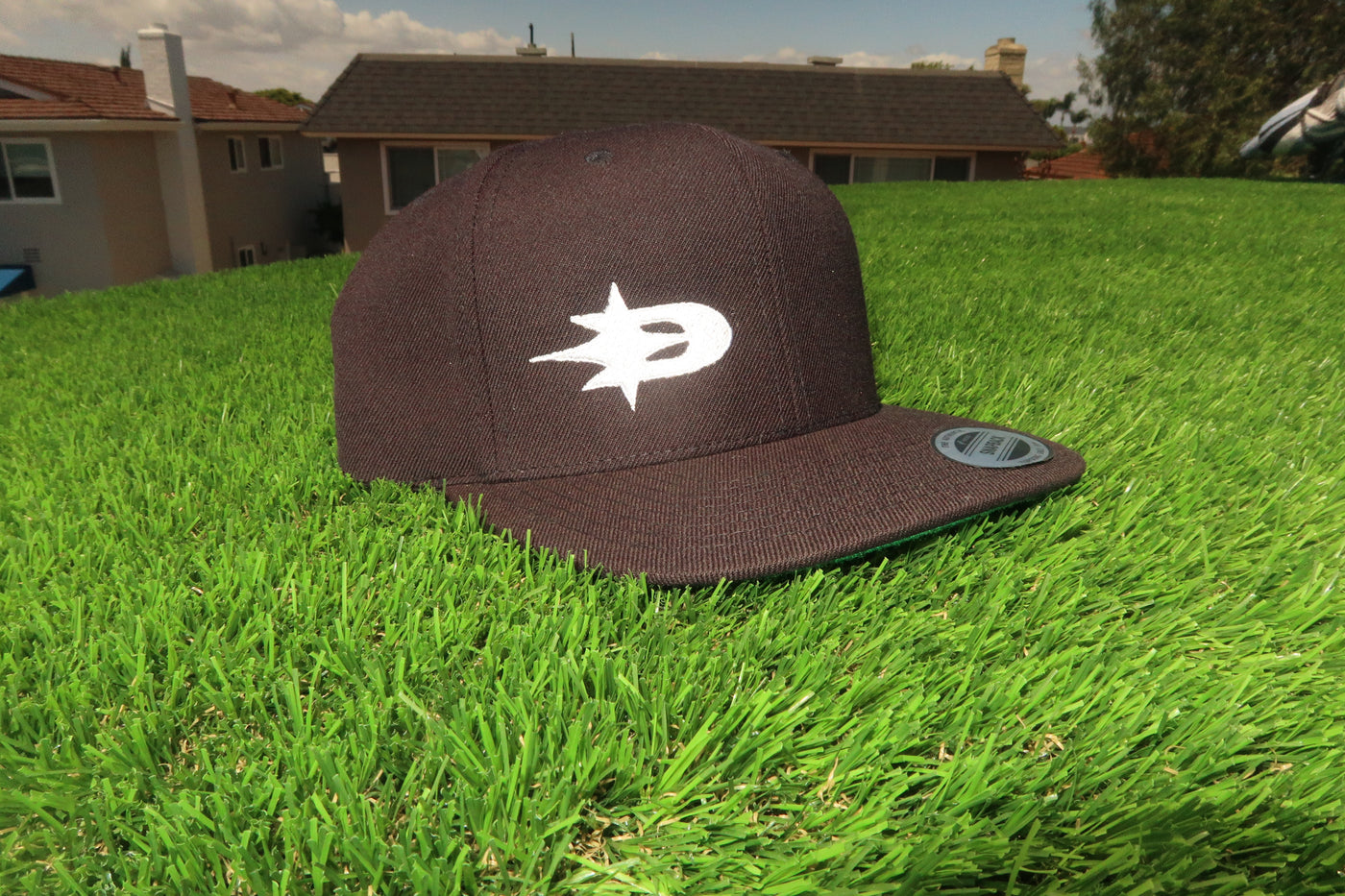 Snapback (Black)
